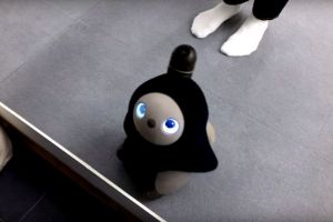 S-a lansat robotul care iubeşte oamenii. Află ce este şi cât costă