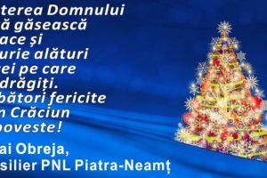 Neamţ: Mihai Obreja: „Naşterea Domnului să vă găsească în pace şi bucurie…”