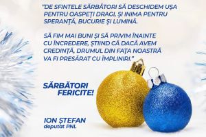 Ion Ștefan, deputat PNL: „Să fim mai buni şi să privim înainte cu încredere”
