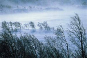 COD Galben de precipitaţii şi vânt puternic în partea de vest a judeţului Alba