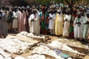 
Nigeria: 17 morţi în urma unui atac înarmat 
