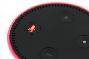 Amazon a vândut zeci de milioane de dispozitive Echo în 2018