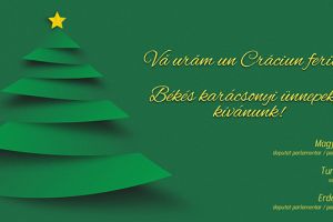 Parlamentarii UDMR vă urează Crăciun Fericit!