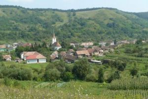 Primăria Mica caută referent