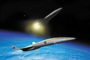 Soluţia descoperită de China pentru a salva tigrul Amoy. Este considerat ultimul bastion al materialului genetic pentru o serie întreagă de specii