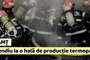 Neamţ: Incendiu la o hală de producţie termopane