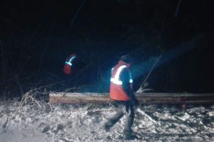 Starea drumurilor judeţene din Sibiu – Copaci rupţi pe drumul spre Păltiniş