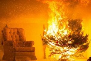 Erou de Crăciun: Un câine şi-a salvat stăpânii de la dezastru
