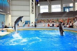 DELFINARIUL din Constanţa, MODERNIZAT cu bani de la Ministerul Turismului