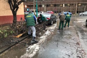 Se adună crengile rupte de ninsori. Raportul se apropie de cel de la furtuna din septembrie 2017