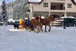 Cum au petrecut turiştii care au venit de Crăciun la pensiunile din Munţii Rodnei (FOTO-VIDEO)