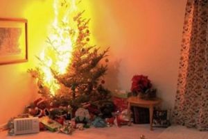MINUNE DE CRĂCIUN LA TIMIŞOARA. Familie salvată de căţel după ce bradul de Crăciun a luat foc în sufragerie
