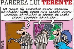 Părerea lui Terente