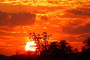 Crăciunul le-a adus australienilor temperaturi record de 49 de grade Celsius