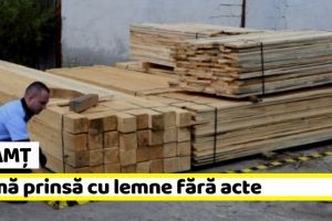 Neamţ: Firmă prinsă cu lemne fără acte, amendată cu 5000 de lei
