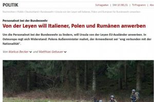 Romani pentru armata germana. Militari pentru acoperirea deficitului de personal