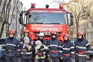 Ea este Bijou, căţeluşa care şi-a salvat familia de la moarte în noaptea de Crăciun