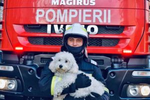 Familie salvată de la o tragedie, de un căţel: Cum şi-a anunţat micuţa Bijou stăpânii că trebuie să fugă din apartamentul cuprins de un incendiu