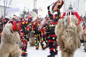 Pluguşor de Bihor