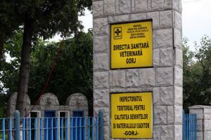 Comunicat de presă DSVSA Gorj