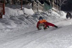 O fetiţă a fost salvată de la viol de un cal
