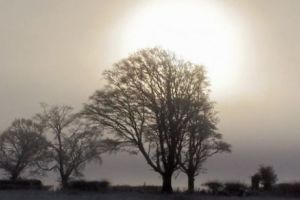 VREMEA. Fenomen METEO neobişnuit pentru luna decembrie