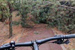 Poza zilei din Timişoara – oraşul nimănui. Plimbare imposibilă pe malurile Begăi
