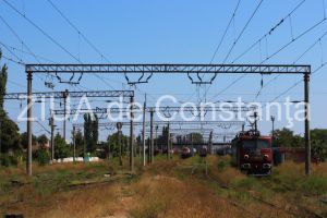 Con Metal CF SRL se va ocupa de indepartarea vegetatiei din zona cailor ferate (document)