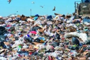 Descoperire MACABRĂ la o GROPĂ de GUNOI de la marginea BUCUREŞTIULUI. Poliţia a deschis o ANCHETĂ