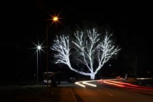 Cum arată CEL MAI FRUMOS copac împodobit de sărbători I GALERIE FOTO