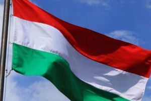 Tânără FILMATĂ în timp ce voia să dea foc steagului Ungariei I VIDEO 