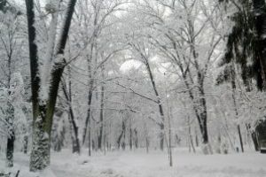 Cum va fi vremea in Maramures in primele doua saptamani din 2019