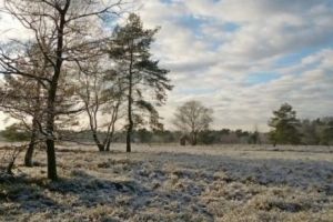 METEO. Vremea la început de an. TEMPERATURI în scădere şi PRECIPITAŢII 