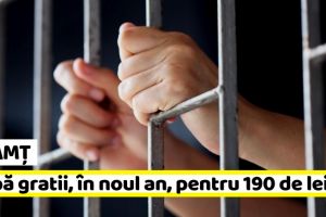 Neamţ: Îşi va petrece noul an după gratii pentru 190 de lei