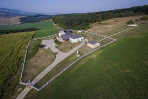 O pensiune din Alba, în Top 50, la nivel naţional, companii înfiinţate în anul 2018