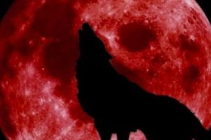 Super Luna sângerie a lupului, primul fenomen astronomic spectaculos, din 2019. Când are loc şi unde este vizibil