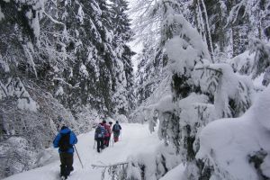 La munte, iarna-i grea, omătu-i mare, semne bune anul are (FOTO)