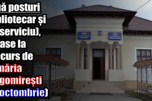 Două posturi (bibliotecar şi şef serviciu), scoase la concurs de Primăria Dragomireşti (16 octombrie)