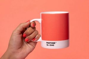 O nuanţă de portocaliu-piersică uşor aurie, care denotă optimism, a fost aleasă culoarea anului 2019