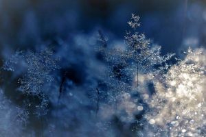 Aer polar peste România. Vor fi şi -14 grade. Zonele vizate de ger şi ninsoare