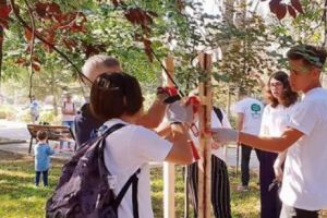 Ministrul Educaţiei face schimbări importante la Bacalaureat şi Evaluare Naţională în 2019! Veşti pentru toţi elevii