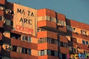 „MĂ-TA ARE CRATIMĂ” - LECȚIA de LIMBA ROMÂNĂ - mesajul unei PROFE ÎNNEBUNITE de greşelile de exprimare ale ELEVILOR. ATENȚIE, conţinut explicit!
