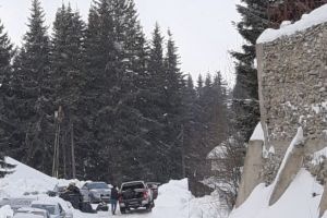Lecţie de bun simţ! Un proprietar de cabană din Rânca a adunat gunoiul aruncat la marginea drumului de un altul!