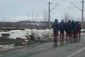 CEO a închiriat cu 1,2 milioane de lei autovehicule cu şofer pentru EMC Motru şi EMC Roşia-Rovinari! Atribuirea târzie a lăsat sute de mineri fără transport