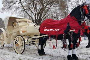 Sărbătoarea de Bobotează la Feteşti. Galerie foto – video