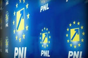 PNL continuã in derivã: un primar şi un consilier au fost dati afara din partid