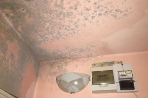 VIDEO FOTO Situaţie dramatică pentru o sibiancă de 74 de ani – Trăieşte într-un apartament mizer în care plouă