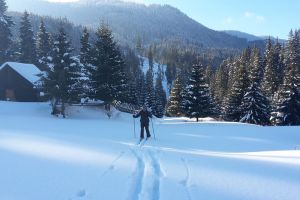 Acţiuni de patrulare şi monitorizare în Parcul Naţional Călimani