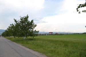 Teren gratuit pentru tineri 2019: Aceştia pot cere primăriei un teren pentru construirea unei case
