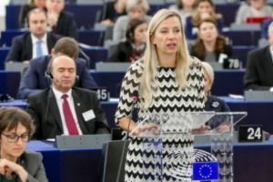 Austria cere României să nu se amestece în povestea alocaţiilor pentru copii